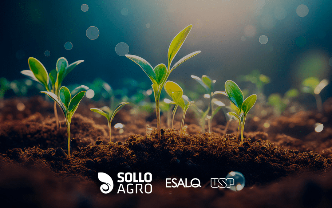 Qualidade do solo: entenda o conceito e quais indicadores usar