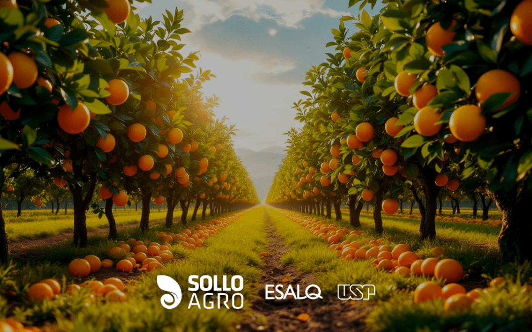 Pesquisa realizada na ESALQ/USP – Manejo do greening na citricultura