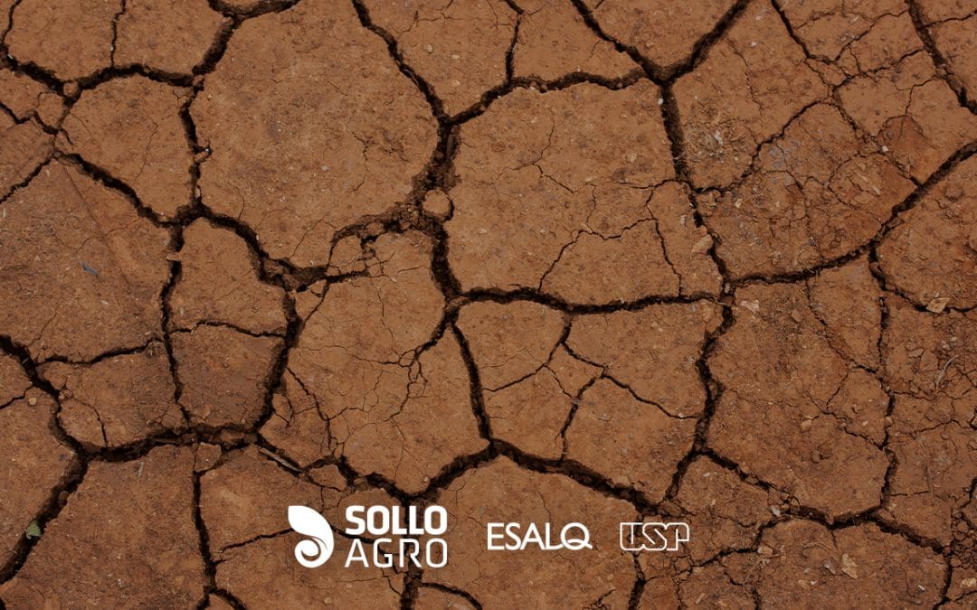 Conservação do solo: riscos da erosão e compactação