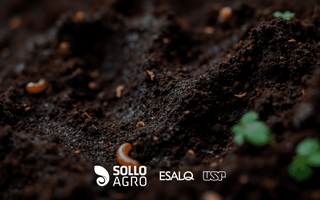 Influência das mudanças climáticas na microbiota do solo