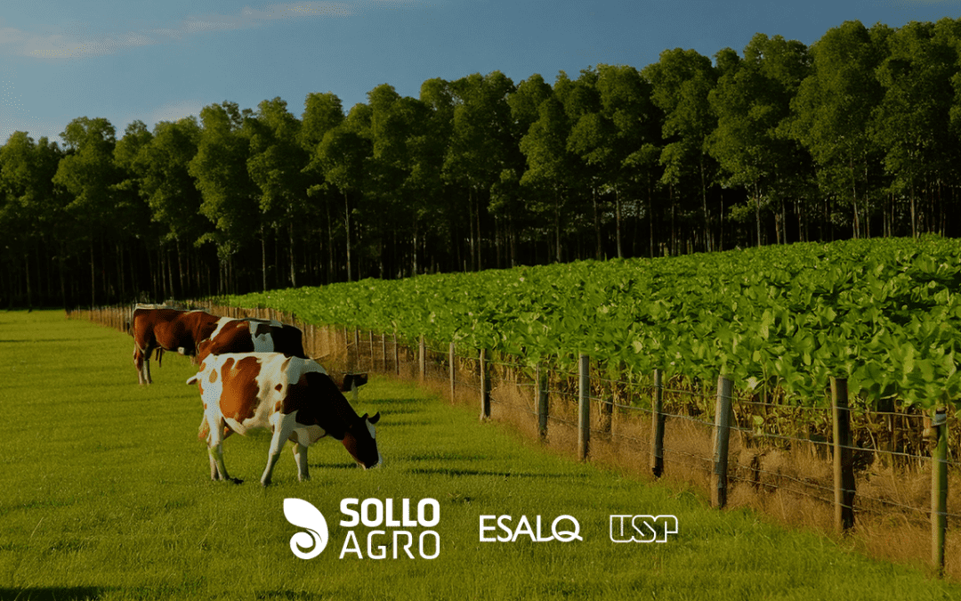 Pesquisa realizada na ESALQ/USP – Qualidade do solo em sistemas de integração