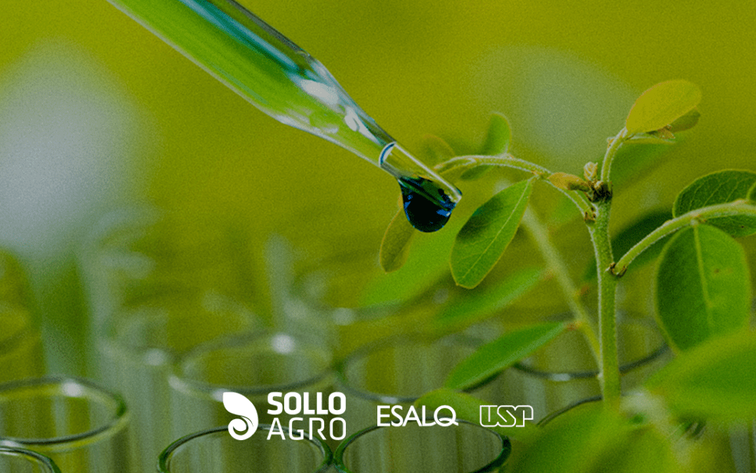 O papel dos aditivos na eficiência das formulações