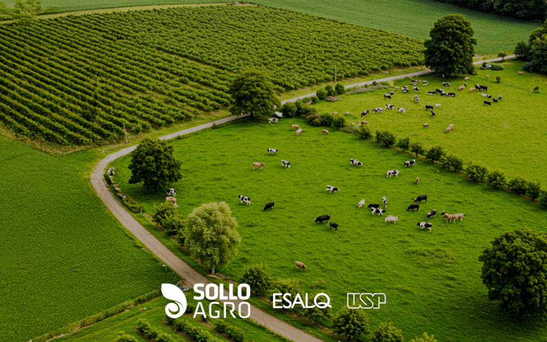 Balanço de nutrientes em sistemas integrados: estratégias para sustentabilidade agrícola