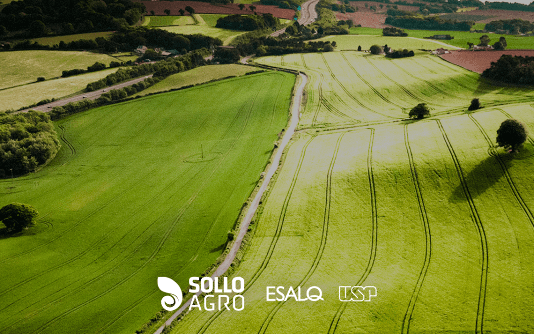 Campos agrícolas: dinâmicas e transformações no setor produtivo