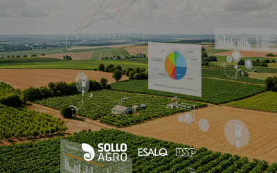 Eficiência no uso de fertilizantes: desafios e estratégias na agricultura