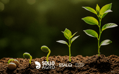 Fitormônios: o que são, como atuam e seu potencial no manejo agrícola