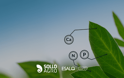 Para que serve a avaliação do estado nutricional das plantas?