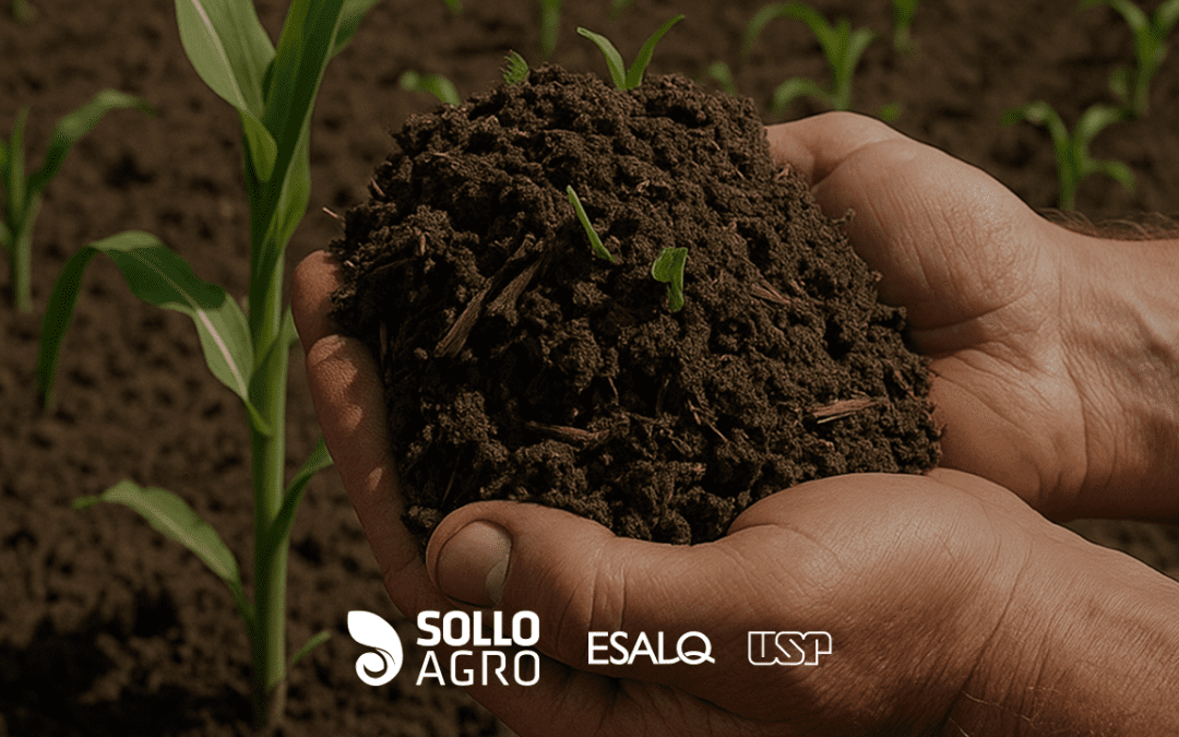 O papel da matéria orgânica do solo na produtividade agrícola