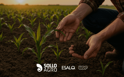 Produtividade e saúde do solo: até onde podemos ir sem comprometer o futuro?