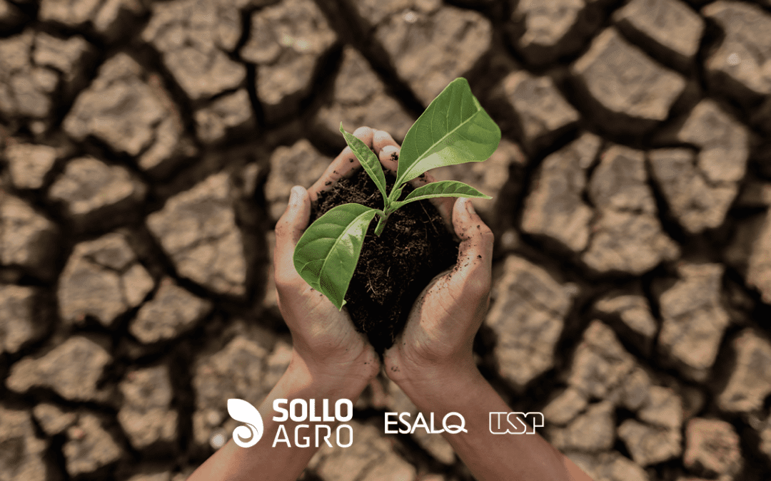 Clima e agricultura: como se adaptar à nova realidade climática no campo