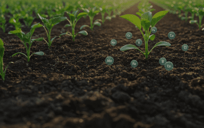 O quanto você realmente sabe sobre Micronutrientes na Agricultura?