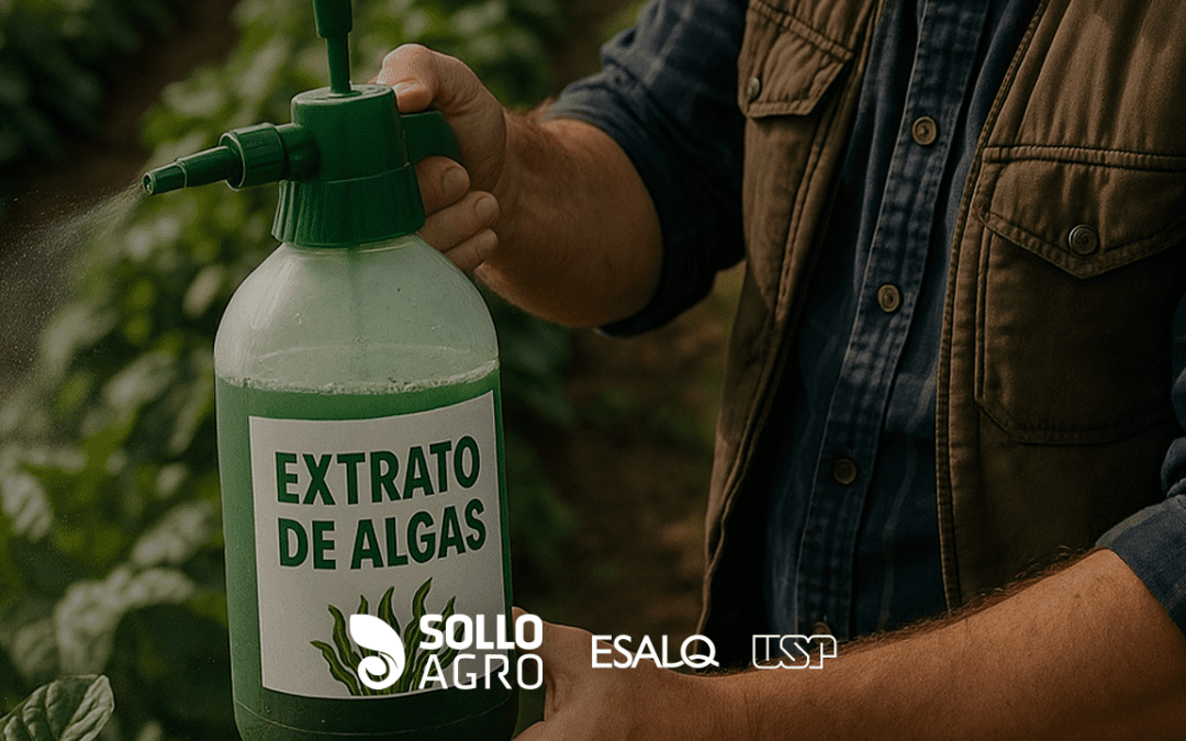 Uso de extratos de algas na produção agrícola