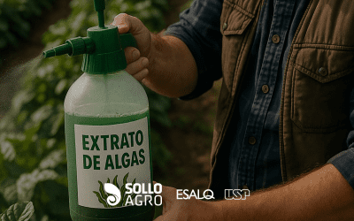 Uso de extratos de algas na produção agrícola