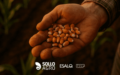 A importância da qualidade de sementes para o sucesso das lavouras