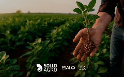 Fixação biológica de nitrogênio: a tecnologia invisível que faz o Brasil economizar bilhões de dólares