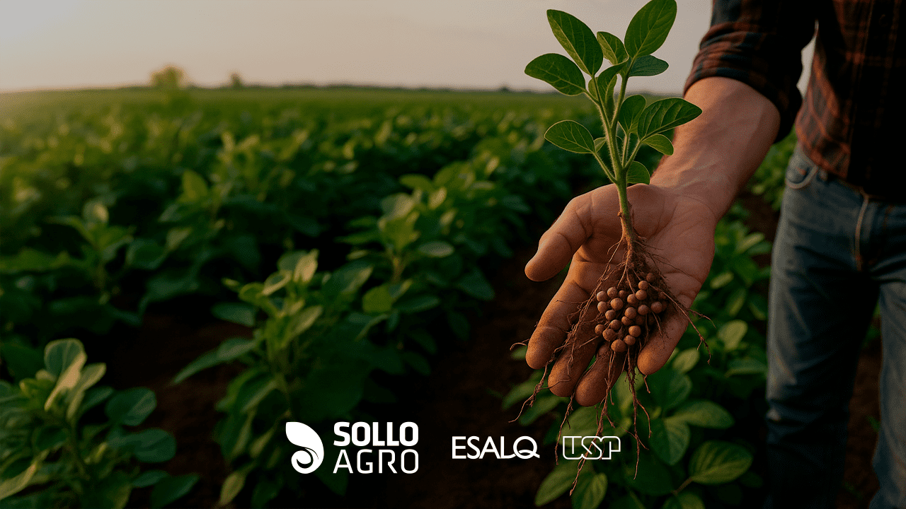 Fixacao_biologica_de_nitrogenio__a_tecnologia_invisivel_que_faz_o_Brasil_economizar_bilhoes_de_dolares