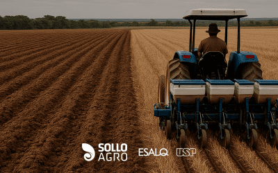 História do plantio direto no Brasil