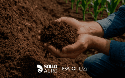 Novo substrato sustentável transforma resíduos em produtividade agrícola