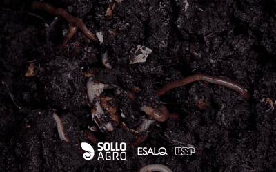 Funções do solo e indicadores de qualidade: o que monitorar para aumentar a sustentabilidade agrícola