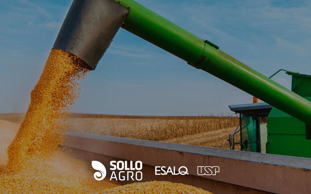 Safra 2026: como interpretar a queda prevista e transformar desafios em decisões técnicas no campo