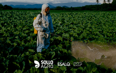 Resistência a fungicidas na soja: como proteger sua produtividade