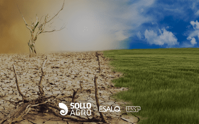 O papel do solo na regulação do climática