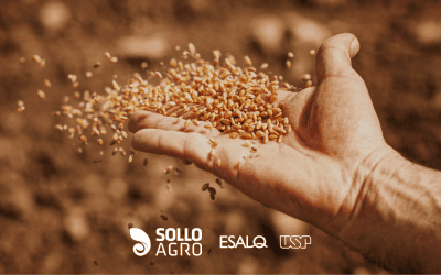 Inoculação antes da semeadura: como evitar perdas de eficiência