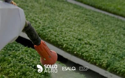 Pulverização em Ultra Baixo Volume (UBV): eficiência e limites no campo