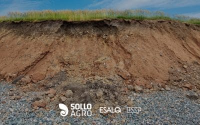 Compactação do solo: quando ela realmente limita a lavoura?